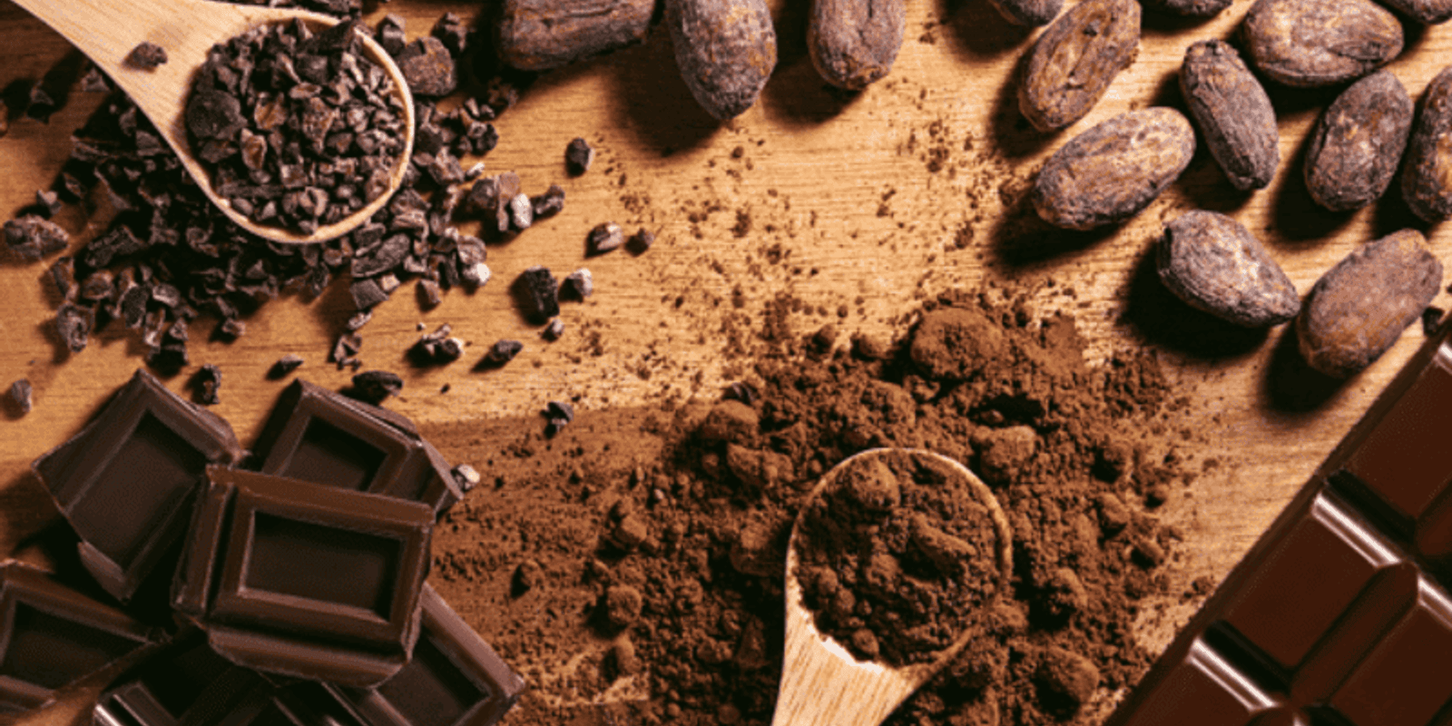 A range of cocoa beans, cocoa nibs, cocoa powder and chocolate bar pieces scattered on a wooden table.